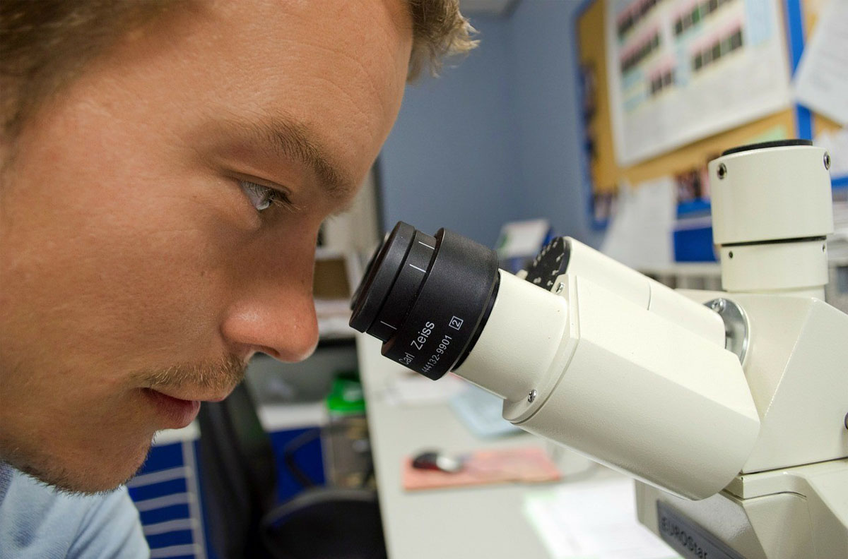 Male researcher looking into a microscope.